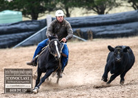 GoulburnCampdraft2018_7244