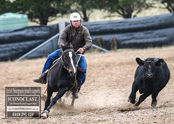 GoulburnCampdraft2018_7244