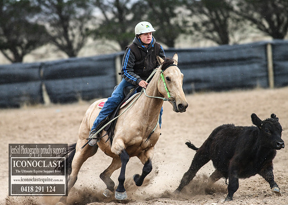 GoulburnCampdraft2018_7703