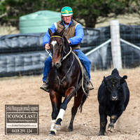GoulburnCampdraft2018_7046