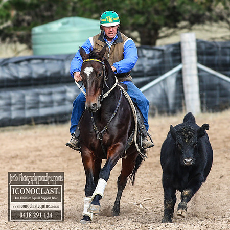 GoulburnCampdraft2018_7046