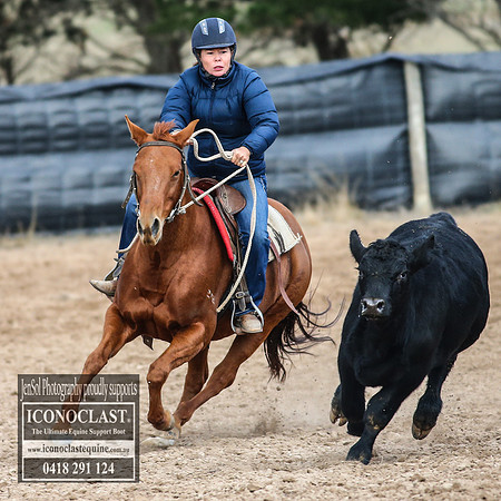 GoulburnCampdraft2018_7058