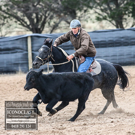 GoulburnCampdraft2018_7418