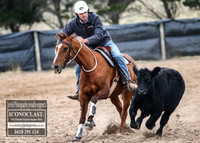 GoulburnCampdraft2018_7223