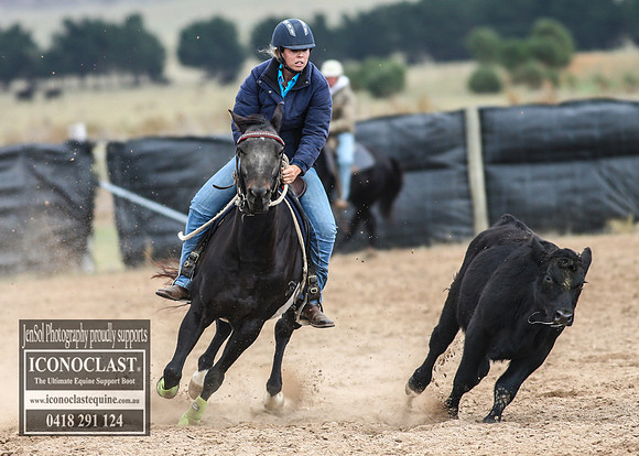 GoulburnCampdraft2018_7574