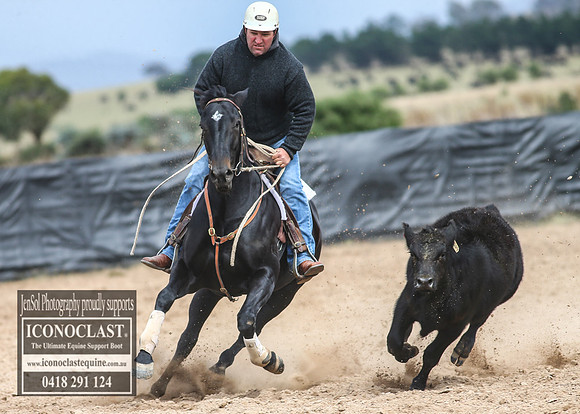 GoulburnCampdraft2018_7663