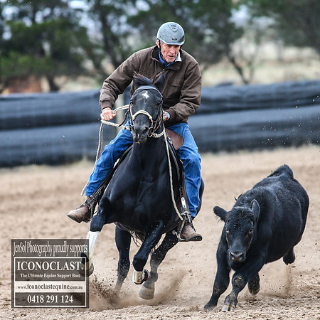 GoulburnCampdraft2018_7432