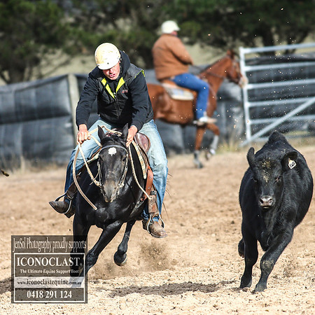 GoulburnCampdraft2018_7114
