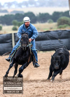 GoulburnCampdraft2018_7259