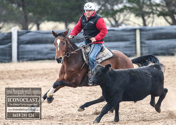 GoulburnCampdraft2018_7465