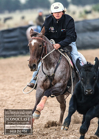GoulburnCampdraft2018_7127