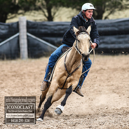GoulburnCampdraft2018_7601