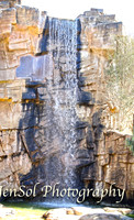 CanberraZooAug17-0040