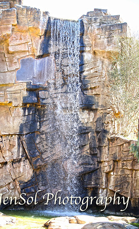 CanberraZooAug17-0040