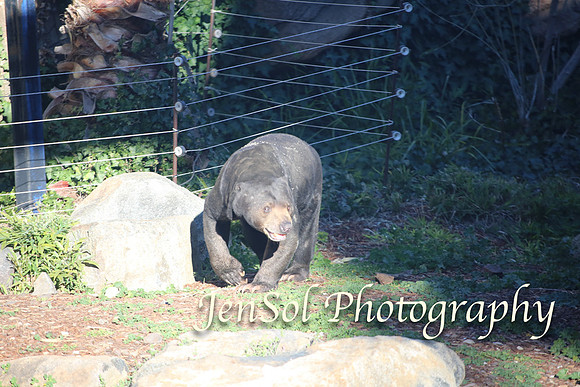CanberraZooAug17-0348
