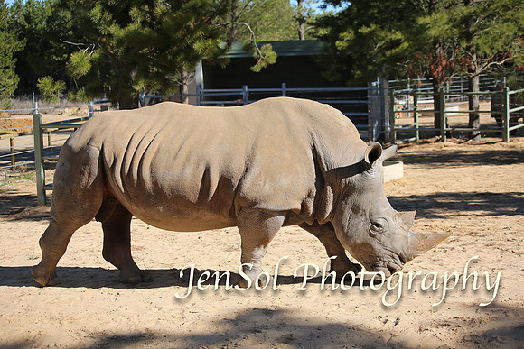 CanberraZooAug17-0127