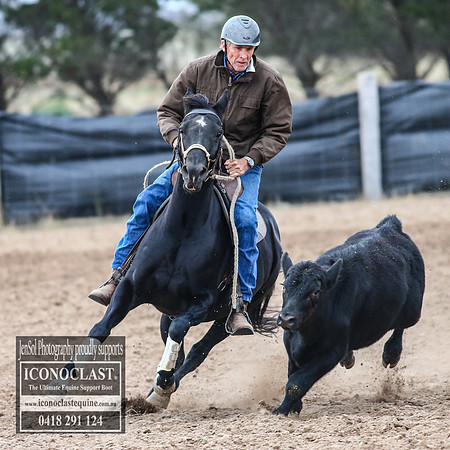 GoulburnCampdraft2018_7413