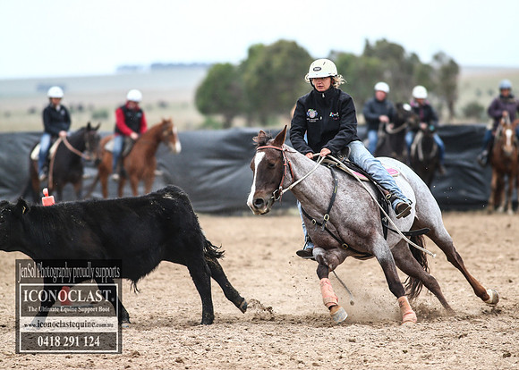 GoulburnCampdraft2018_7637