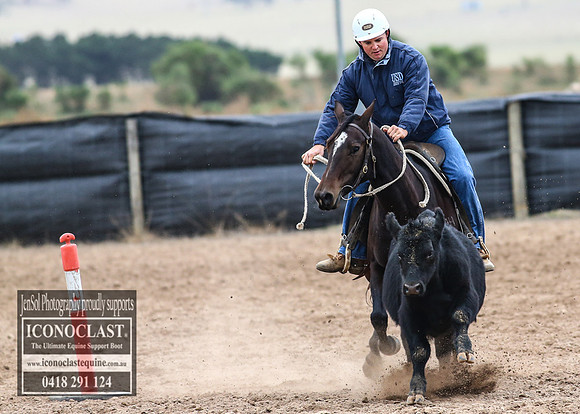 GoulburnCampdraft2018_7338