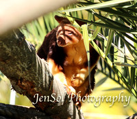 CanberraZooAug17-0031