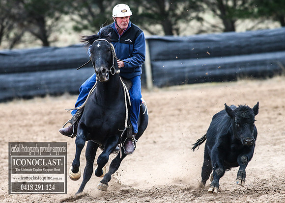 GoulburnCampdraft2018_7306