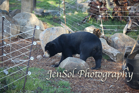 CanberraZooAug17-0335