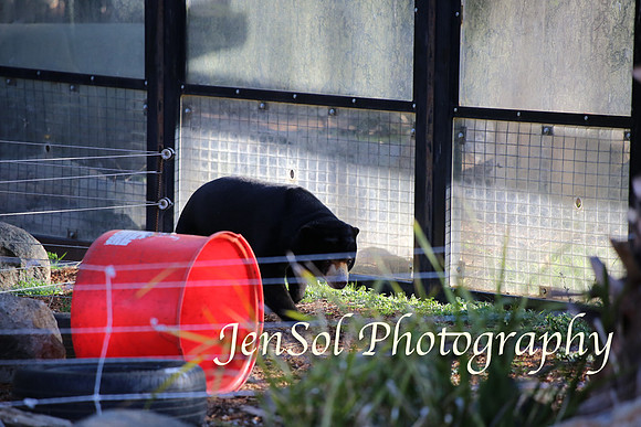 CanberraZooAug17-0326