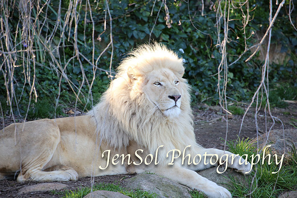 CanberraZooAug17-0275