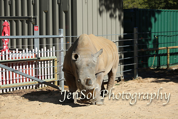 CanberraZooAug17-0123