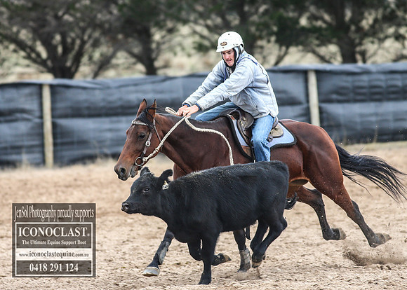 GoulburnCampdraft2018_7563