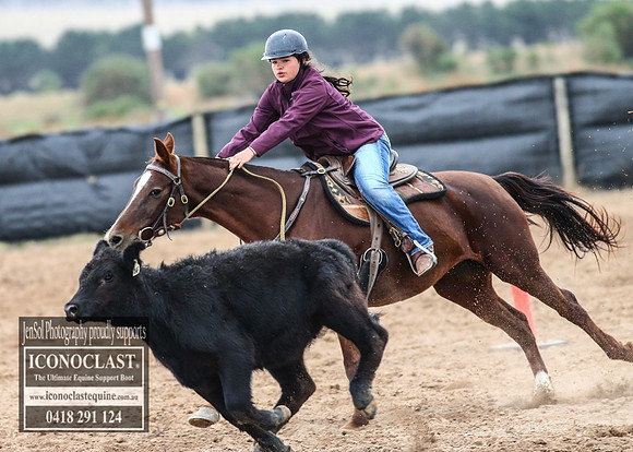 GoulburnCampdraft2018_7406