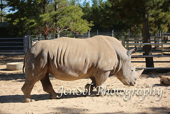 CanberraZooAug17-0131