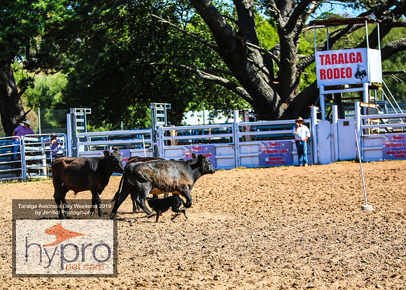 TaralgaRodeo2019_0857
