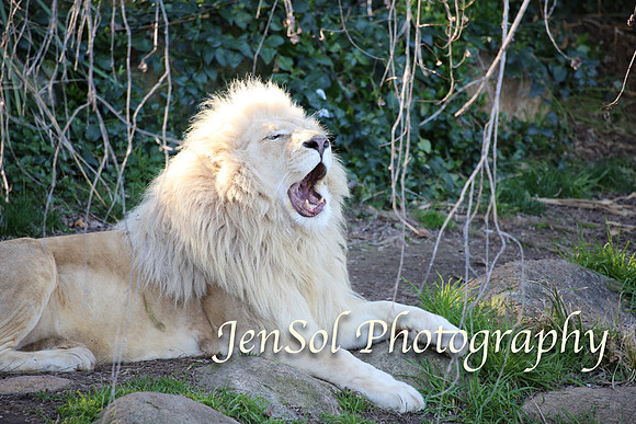CanberraZooAug17-0280