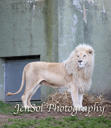 CanberraZooAug17-0324