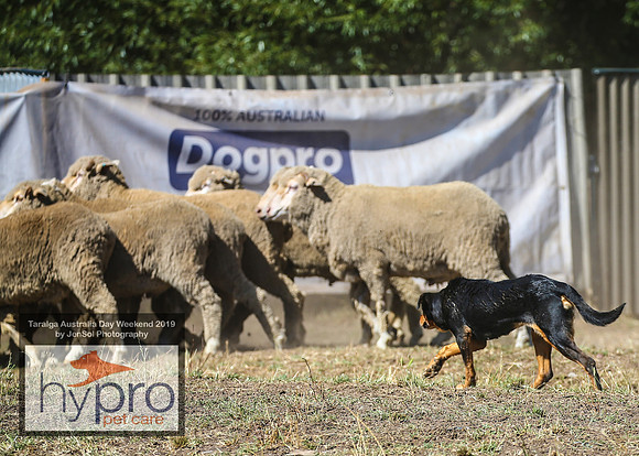TaralgaRodeo2019_5093