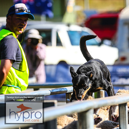 TaralgaRodeo2019_5041