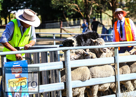 TaralgaRodeo2019_5055
