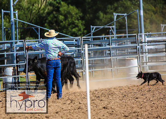TaralgaRodeo2019_0840