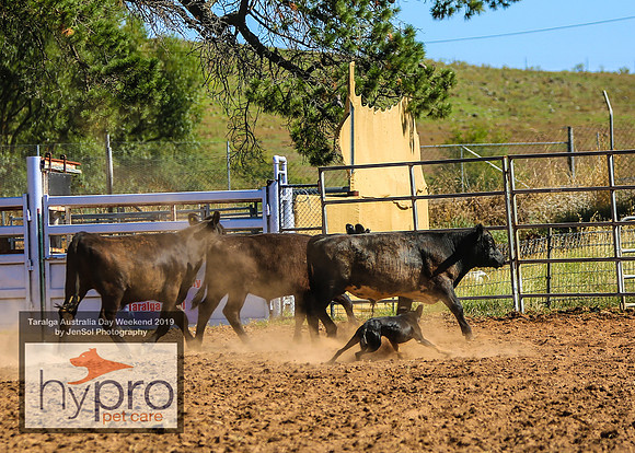TaralgaRodeo2019_0860
