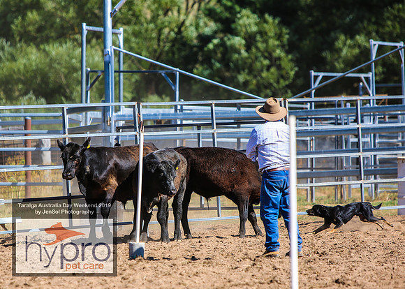 TaralgaRodeo2019_0885