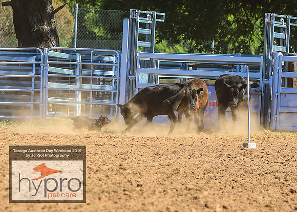 TaralgaRodeo2019_0827