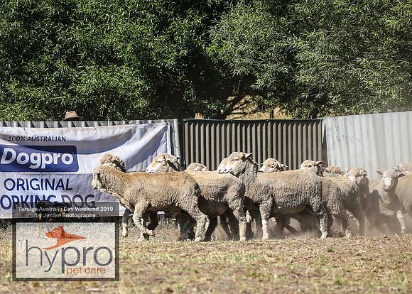 TaralgaRodeo2019_5081
