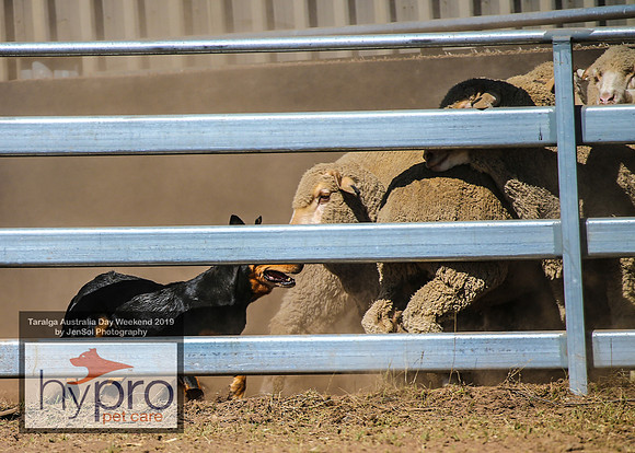 TaralgaRodeo2019_5118