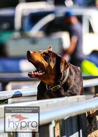 TaralgaRodeo2019_5014