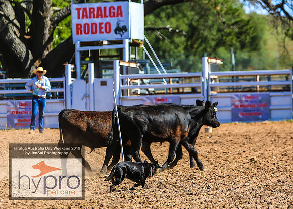 TaralgaRodeo2019_0820