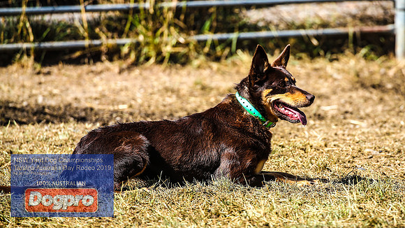 TaralgaJunior_0132