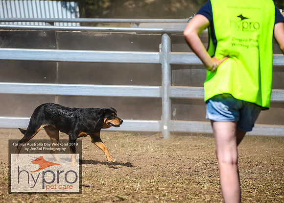 TaralgaRodeo2019_5086