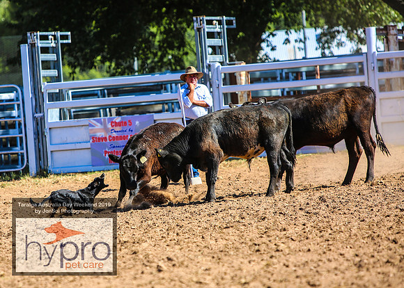 TaralgaRodeo2019_0880