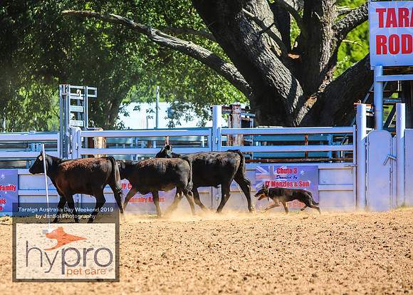 TaralgaRodeo2019_0813
